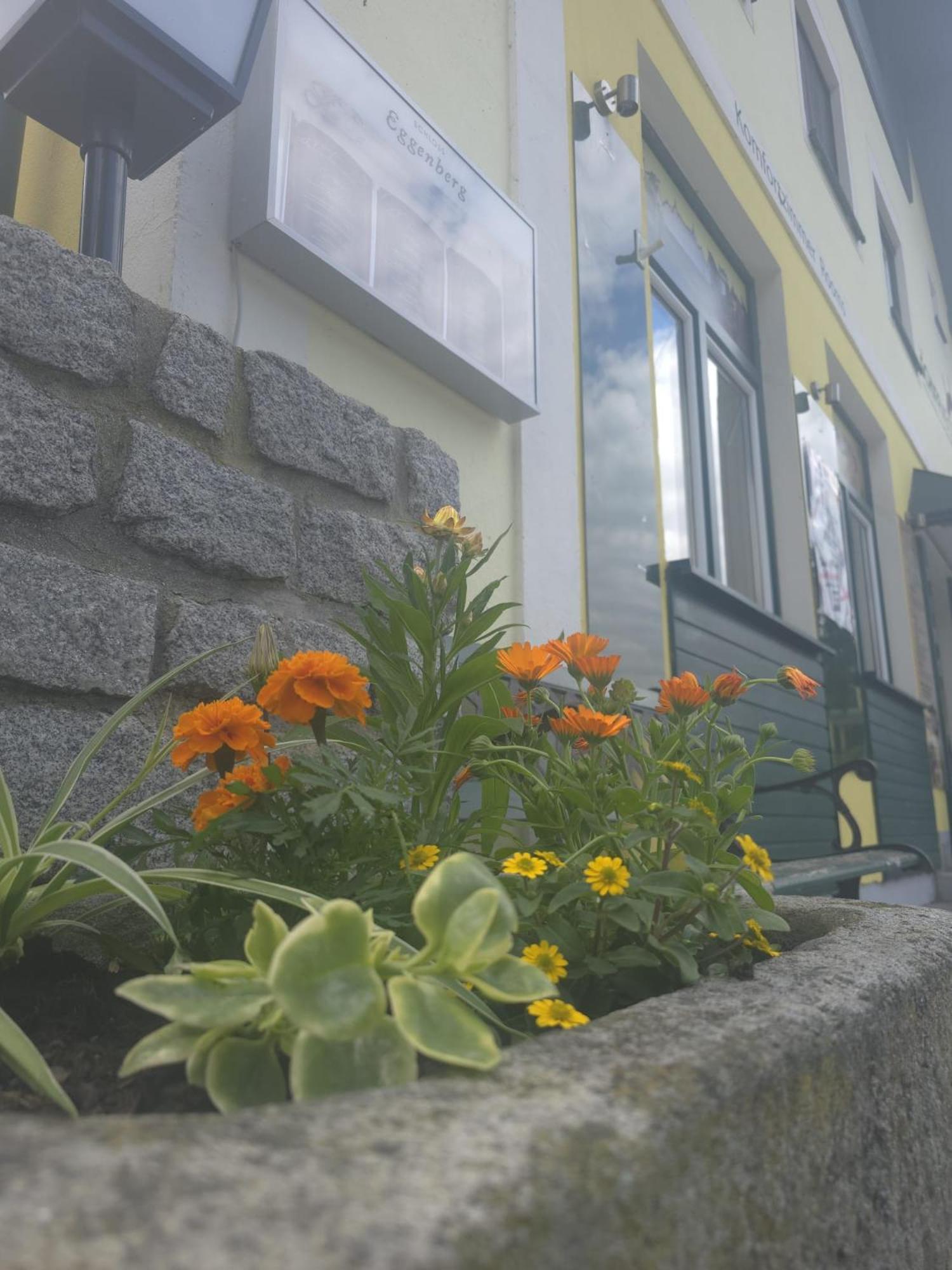 Gasthof Zum Schiffmeister Wesenufer Екстериор снимка